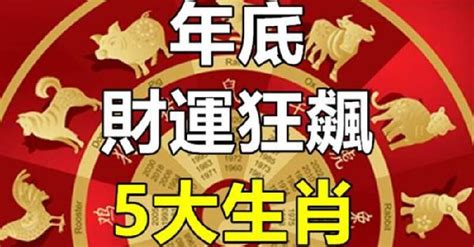 55年生肖|年底4生肖財運翻紅！命理師揭「這招」讓你明年先贏一步